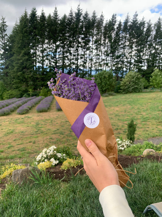 Fresh Cut Lavender Bouquet